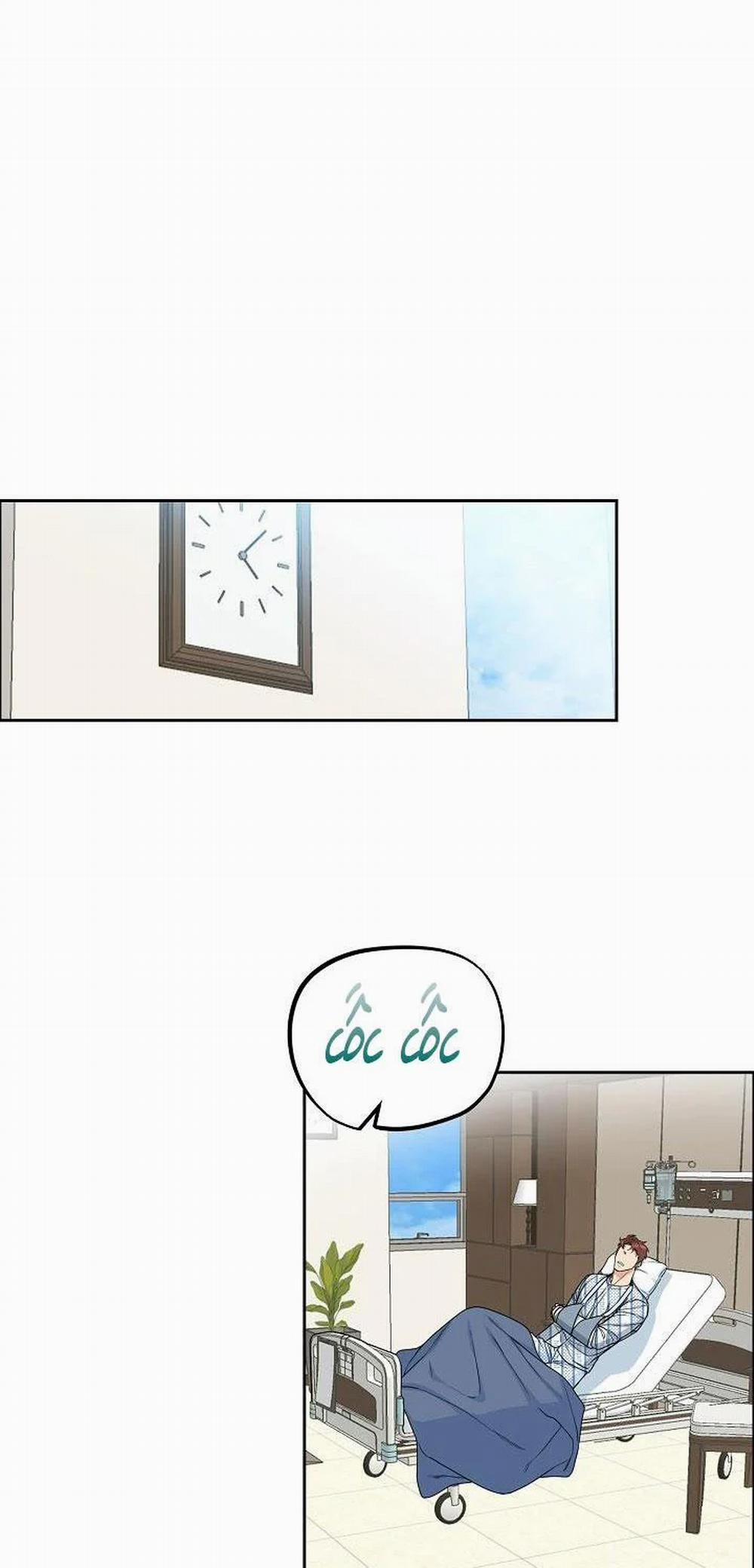 Chó Và Chim 15 trang 24