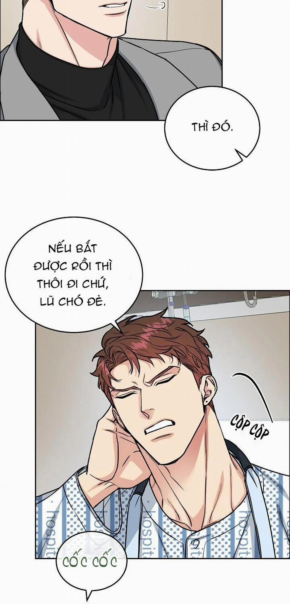 Chó Và Chim 15 trang 34