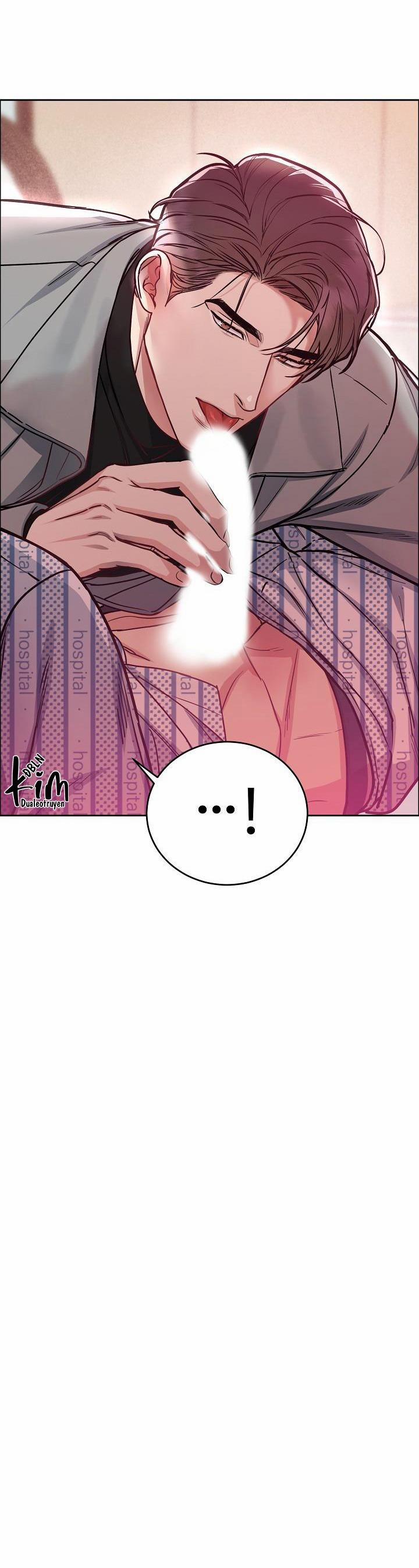 Chó Và Chim 16 0 trang 4