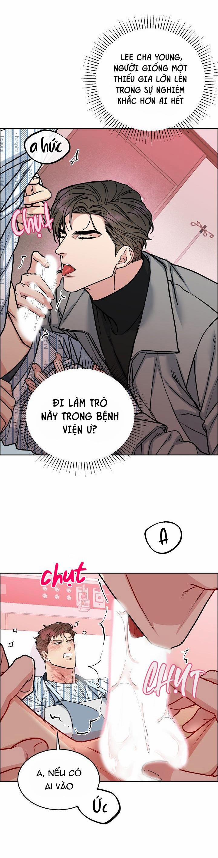 Chó Và Chim 16 0 trang 7