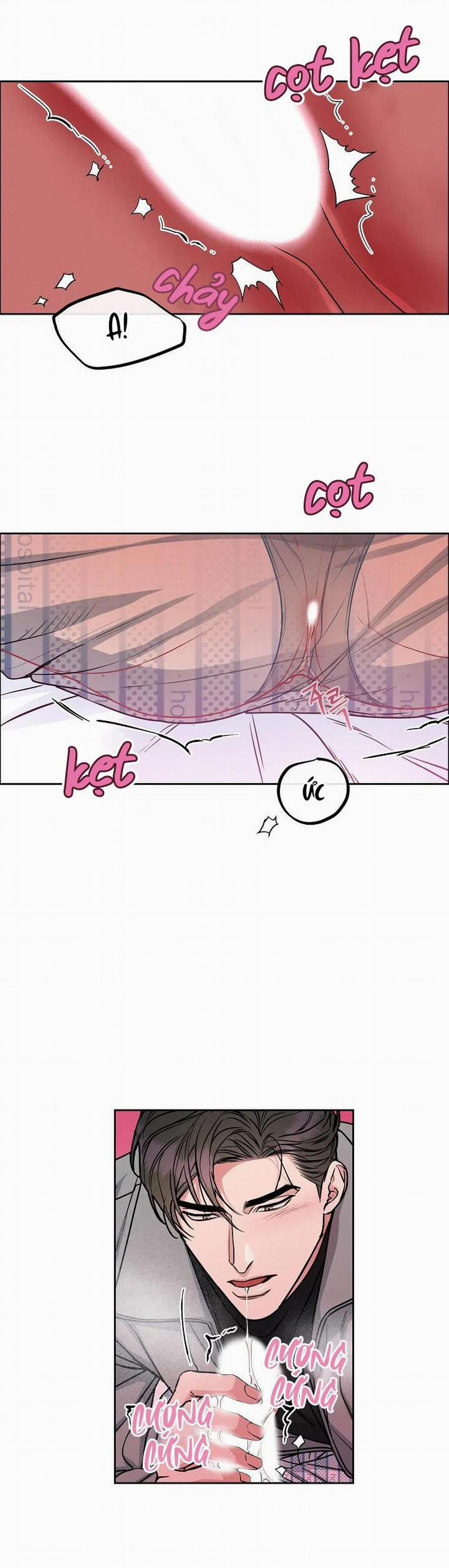 Chó Và Chim 16 trang 10