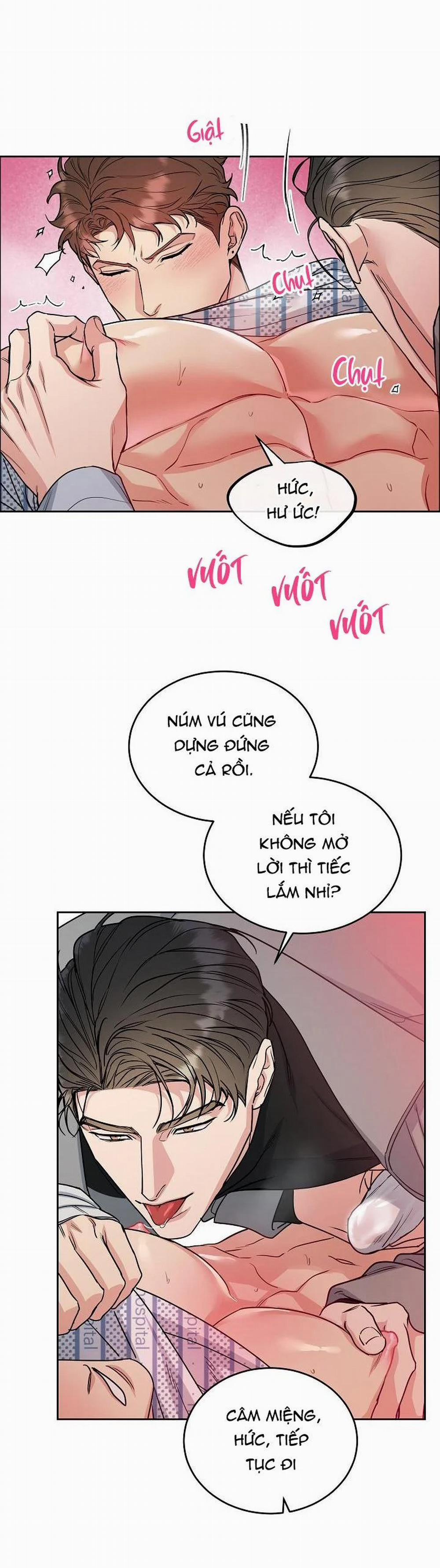 Chó Và Chim 16 trang 14