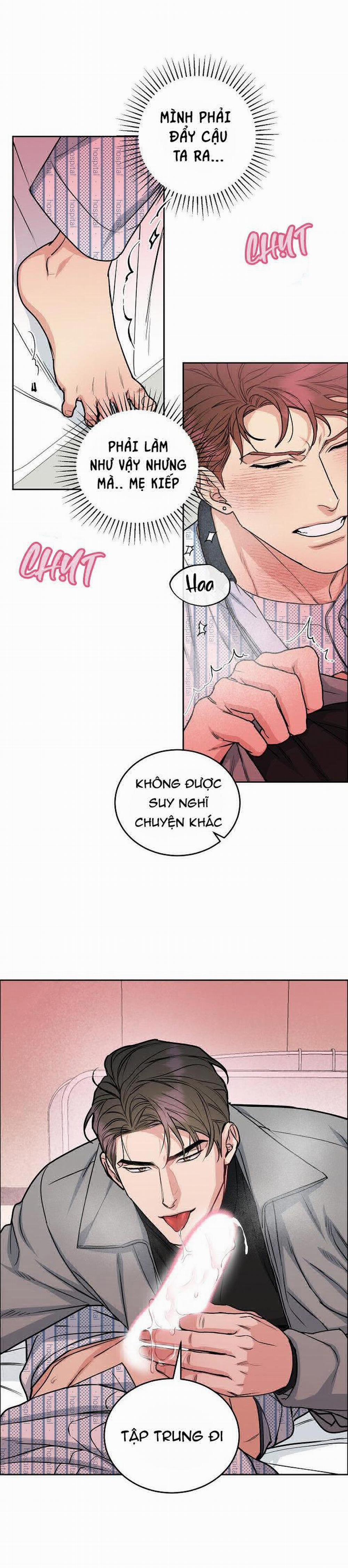 Chó Và Chim 16 trang 8