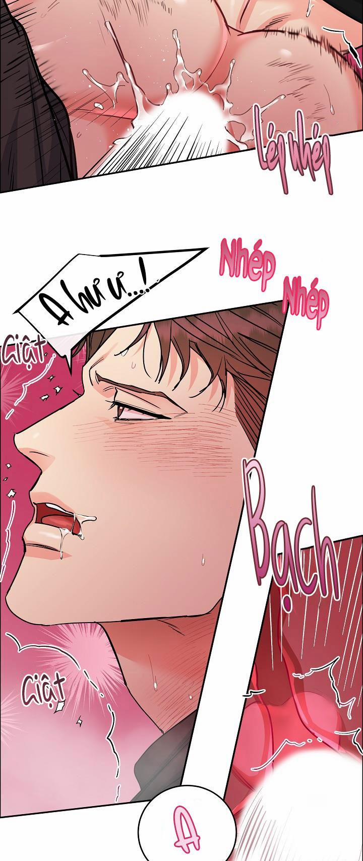 Chó Và Chim 18 HHH trang 19