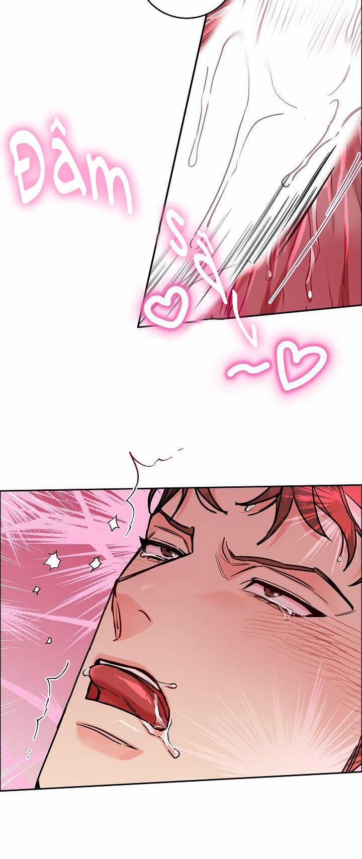 Chó Và Chim 18 HHH trang 20