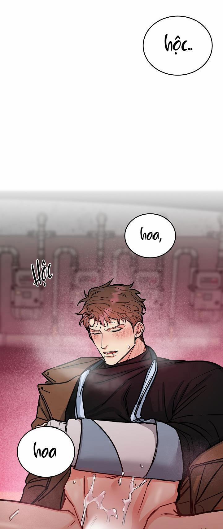 Chó Và Chim 18 HHH trang 23