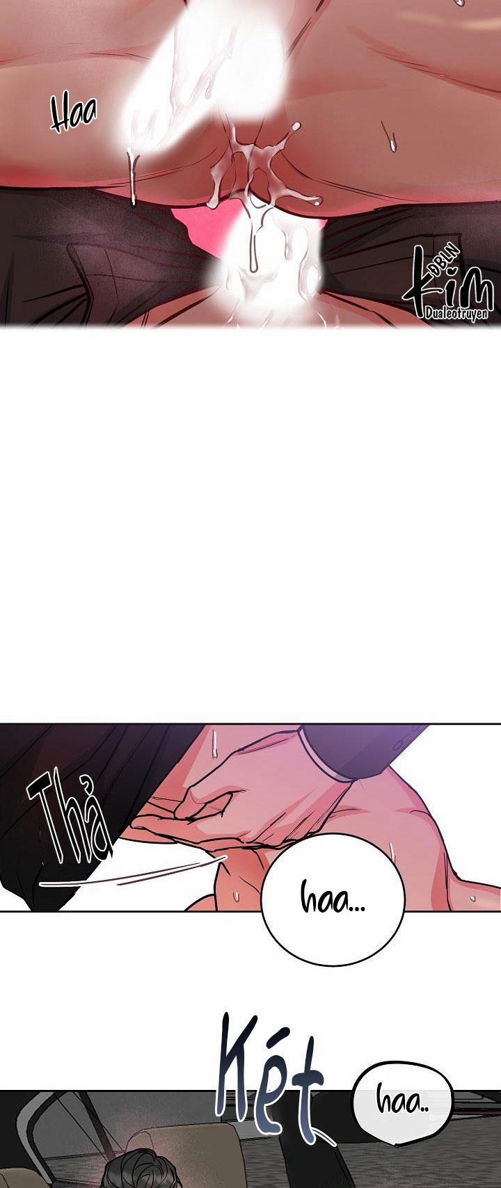 Chó Và Chim 18 HHH trang 24