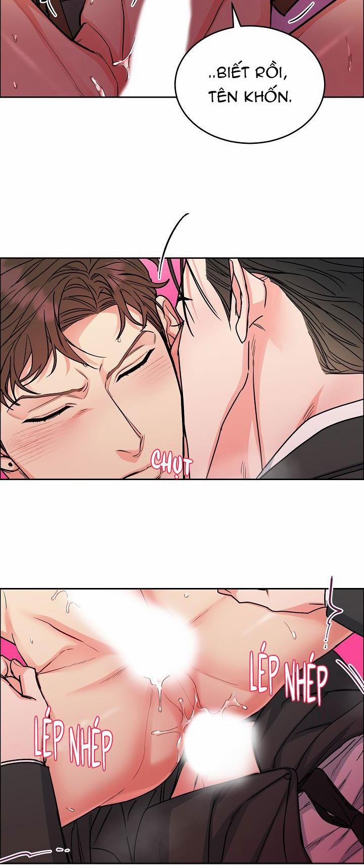 Chó Và Chim 18 HHH trang 3