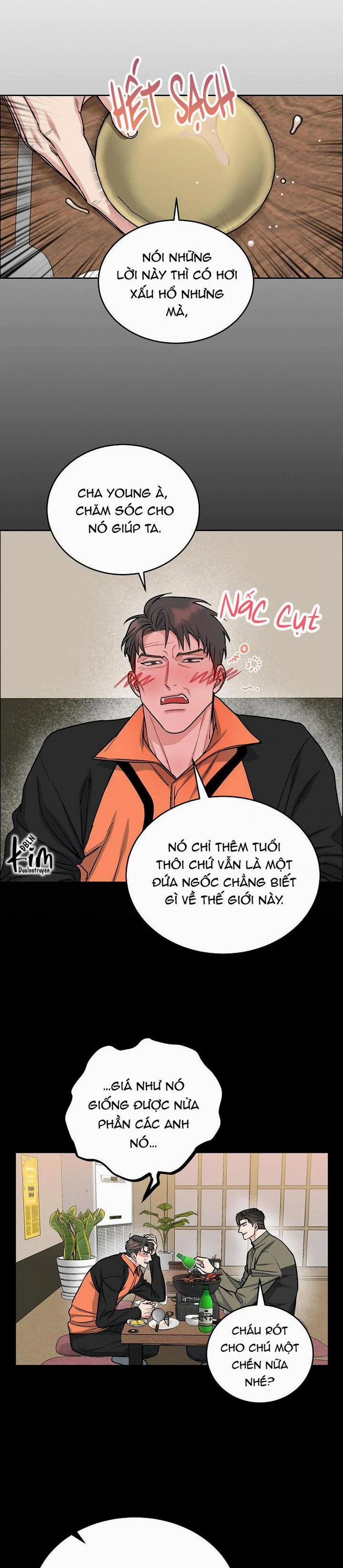 Chó Và Chim 19 trang 13