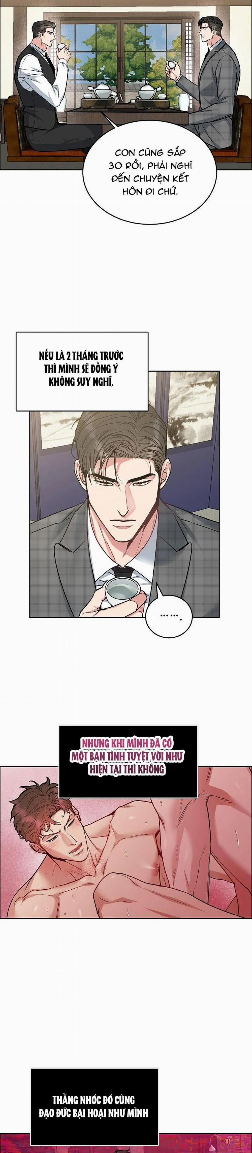 Chó Và Chim 19 trang 3