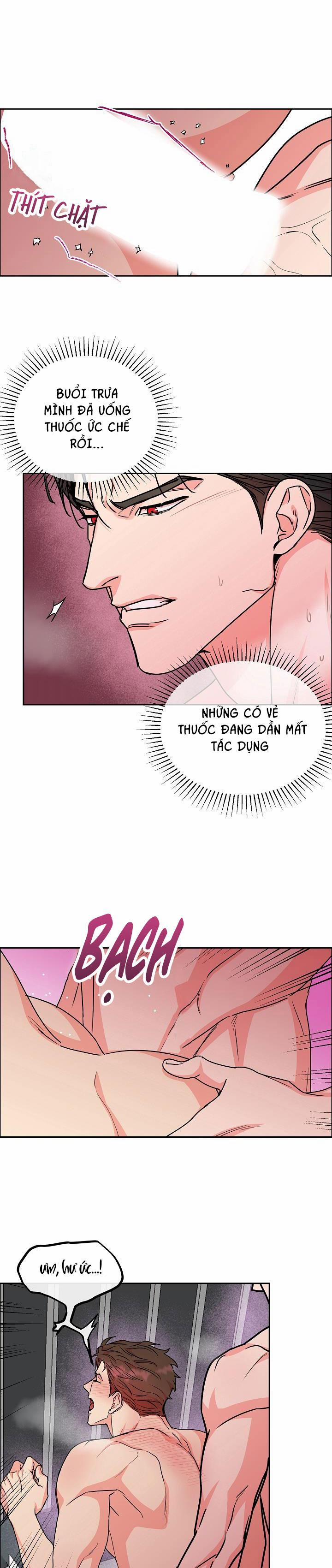 Chó Và Chim 25 END SS1 (Thắt nút) trang 19