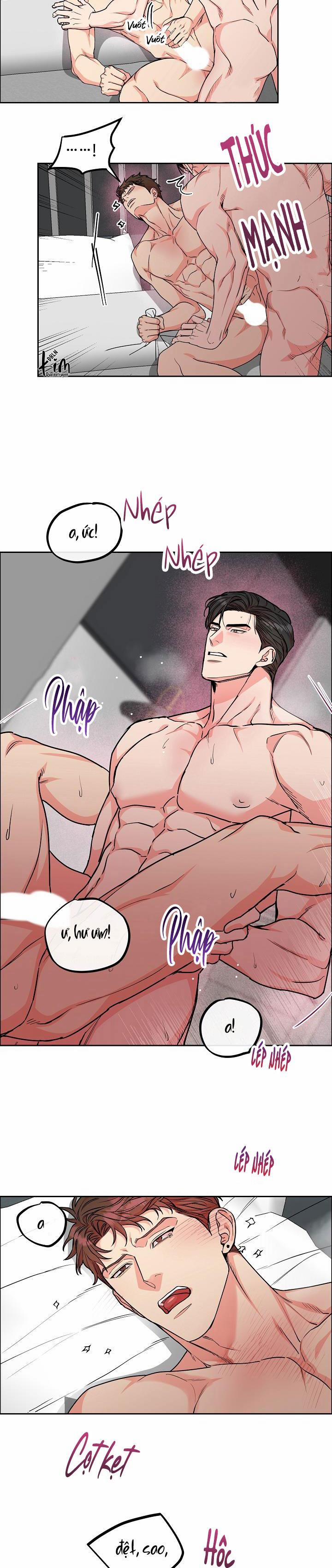 Chó Và Chim 25 END SS1 (Thắt nút) trang 9