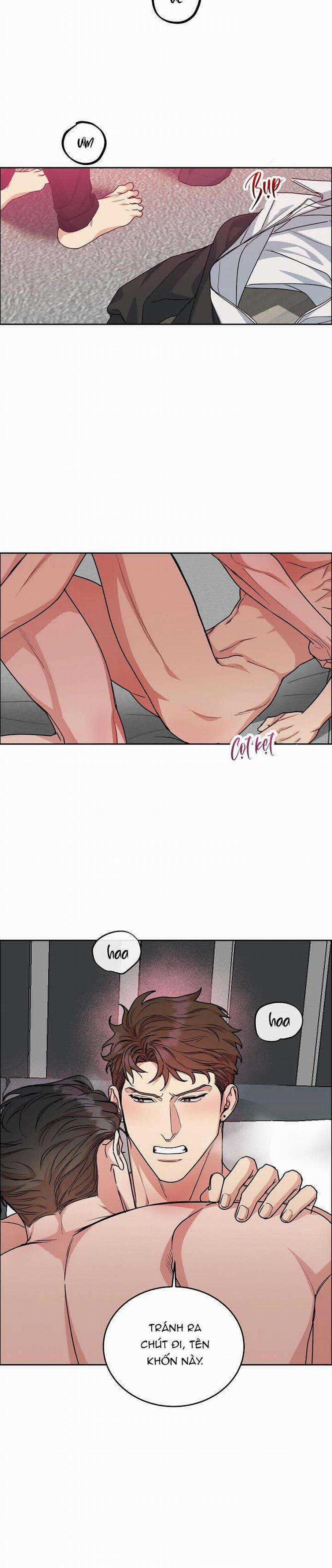 Chó Và Chim 25: H+++ trang 2