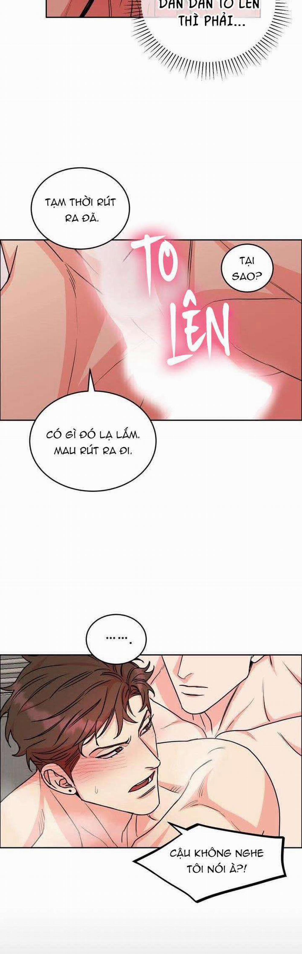 Chó Và Chim 26: END SS1 (Thắt nút) trang 22