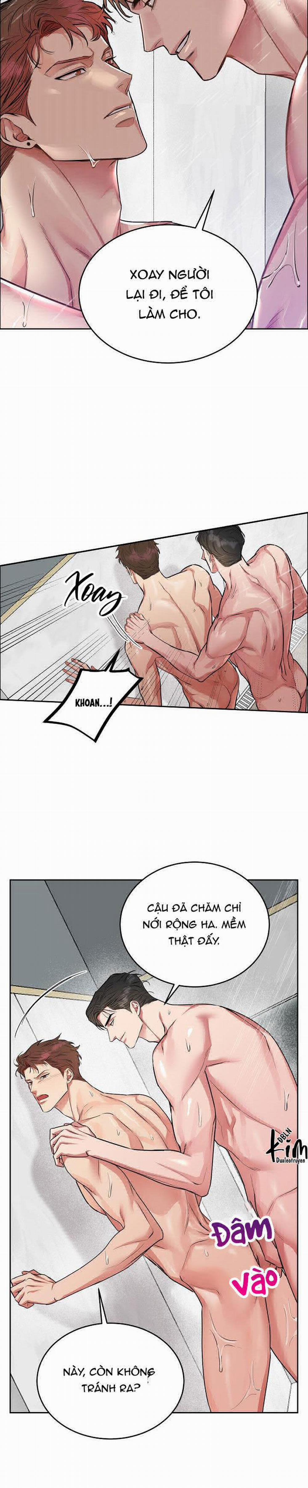 Chó Và Chim 8 trang 17