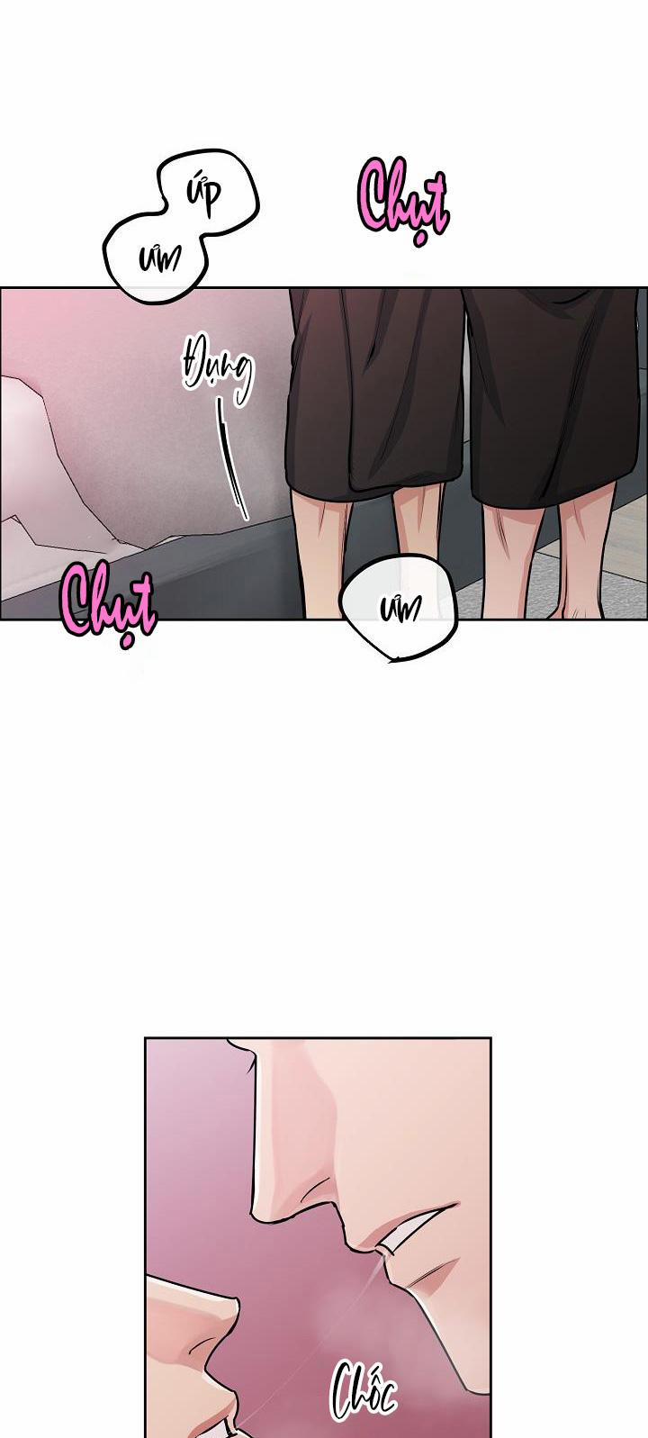 Chó Và Chim 9 HHHH trang 16