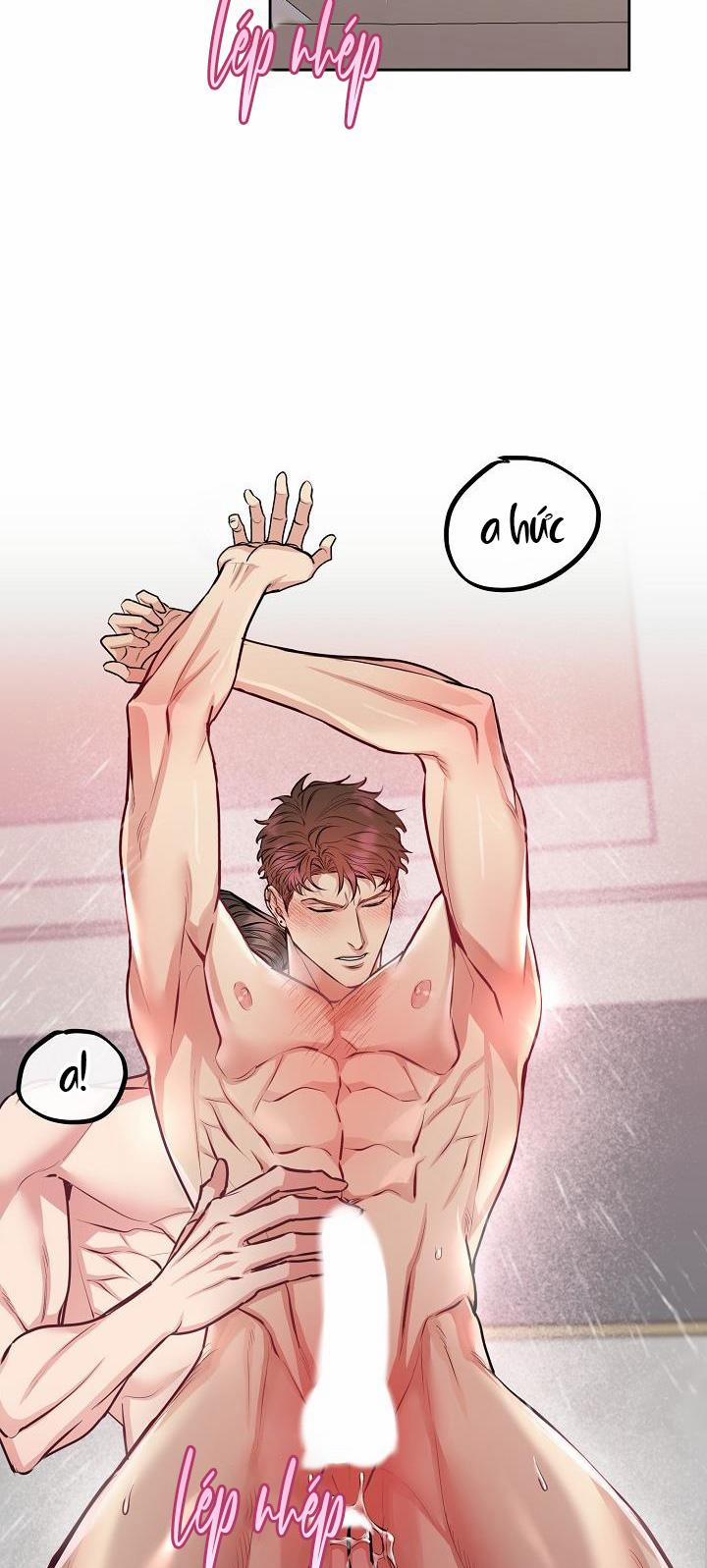 Chó Và Chim 9 HHHH trang 2