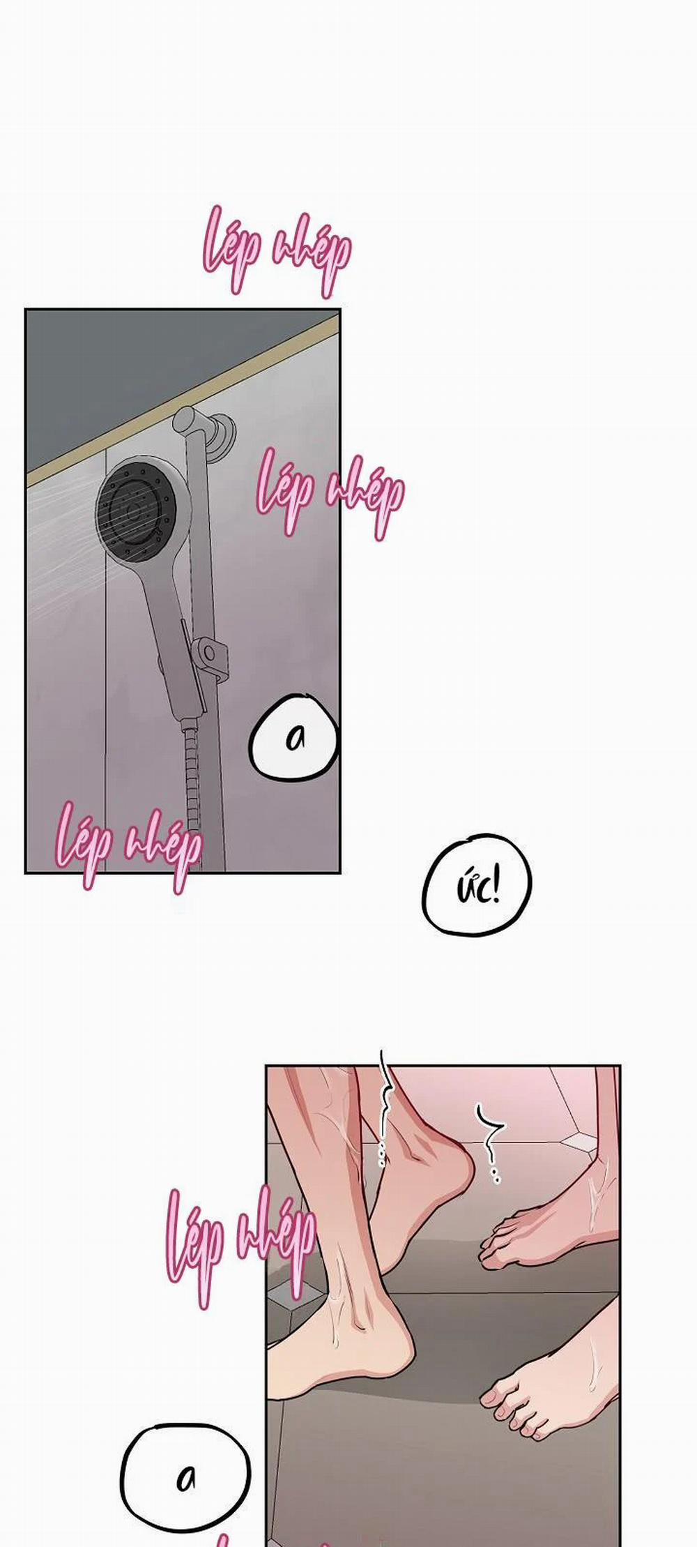 Chó Và Chim 9 trang 1