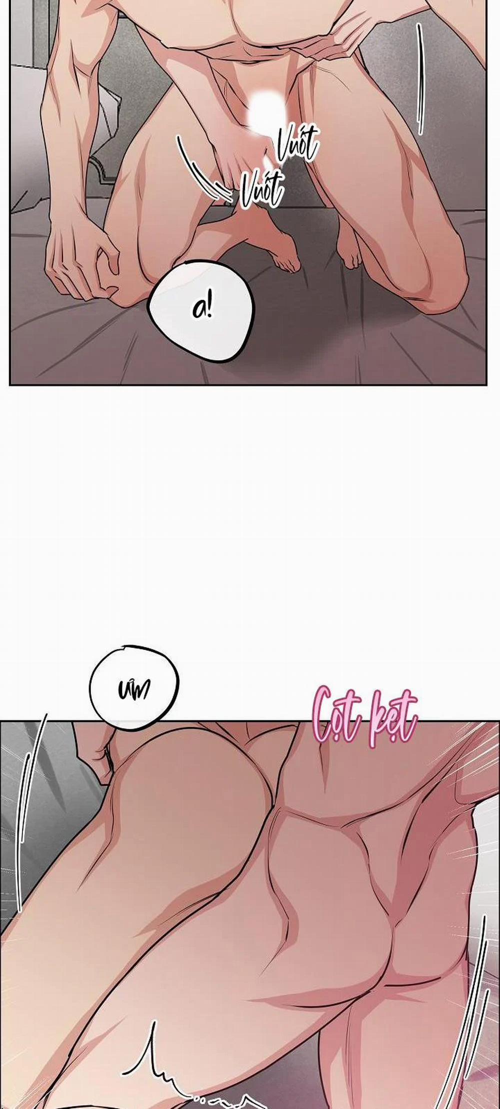 Chó Và Chim 9 trang 43