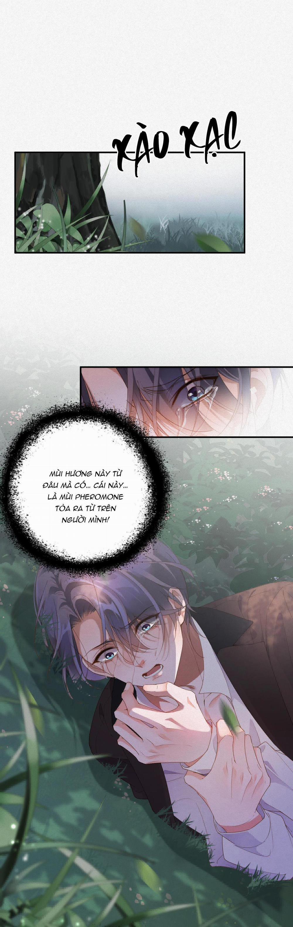 Chồng Cũ Muốn Tái Hôn Lần Nữa 11 trang 22