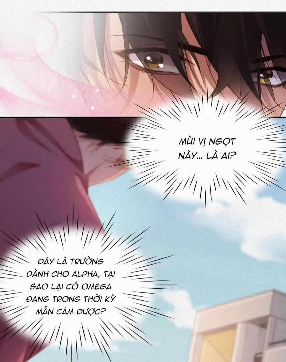 Chồng Cũ Muốn Tái Hôn Lần Nữa 12 trang 12