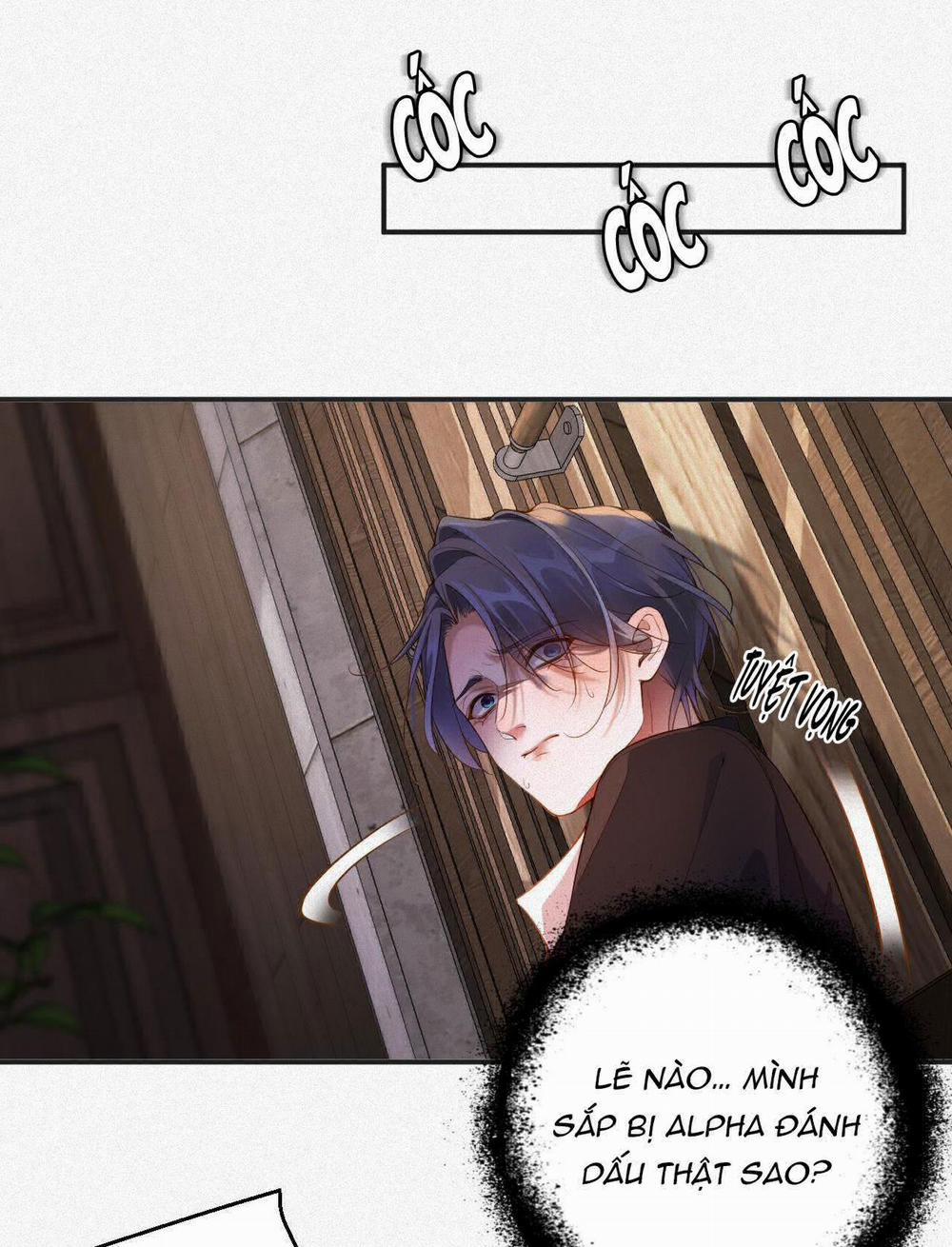 Chồng Cũ Muốn Tái Hôn Lần Nữa 12 trang 26