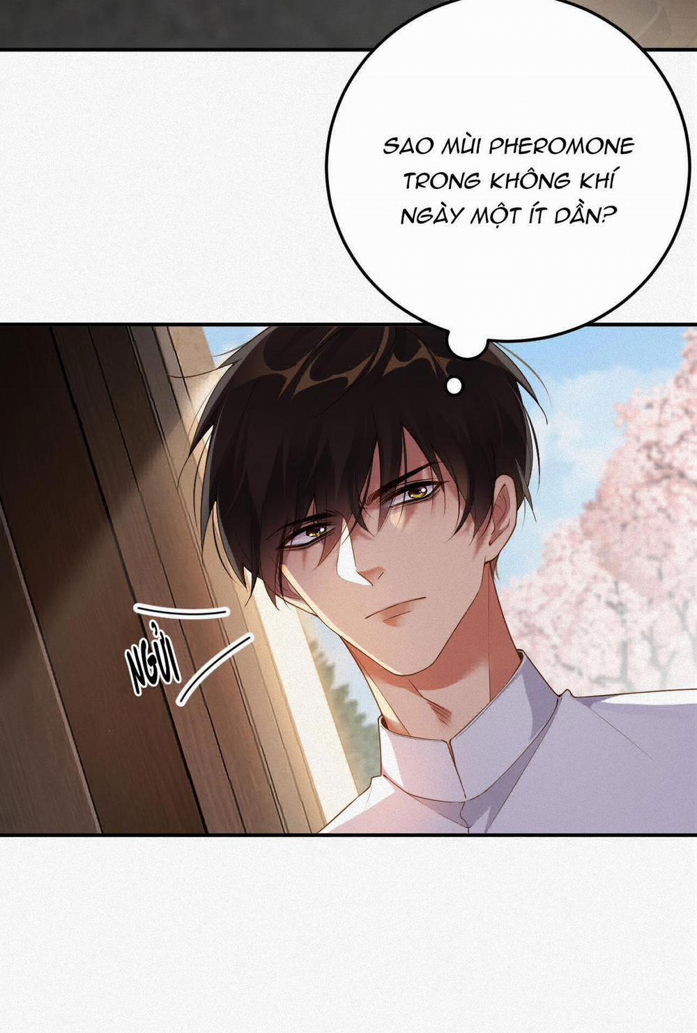 Chồng Cũ Muốn Tái Hôn Lần Nữa 12 trang 39