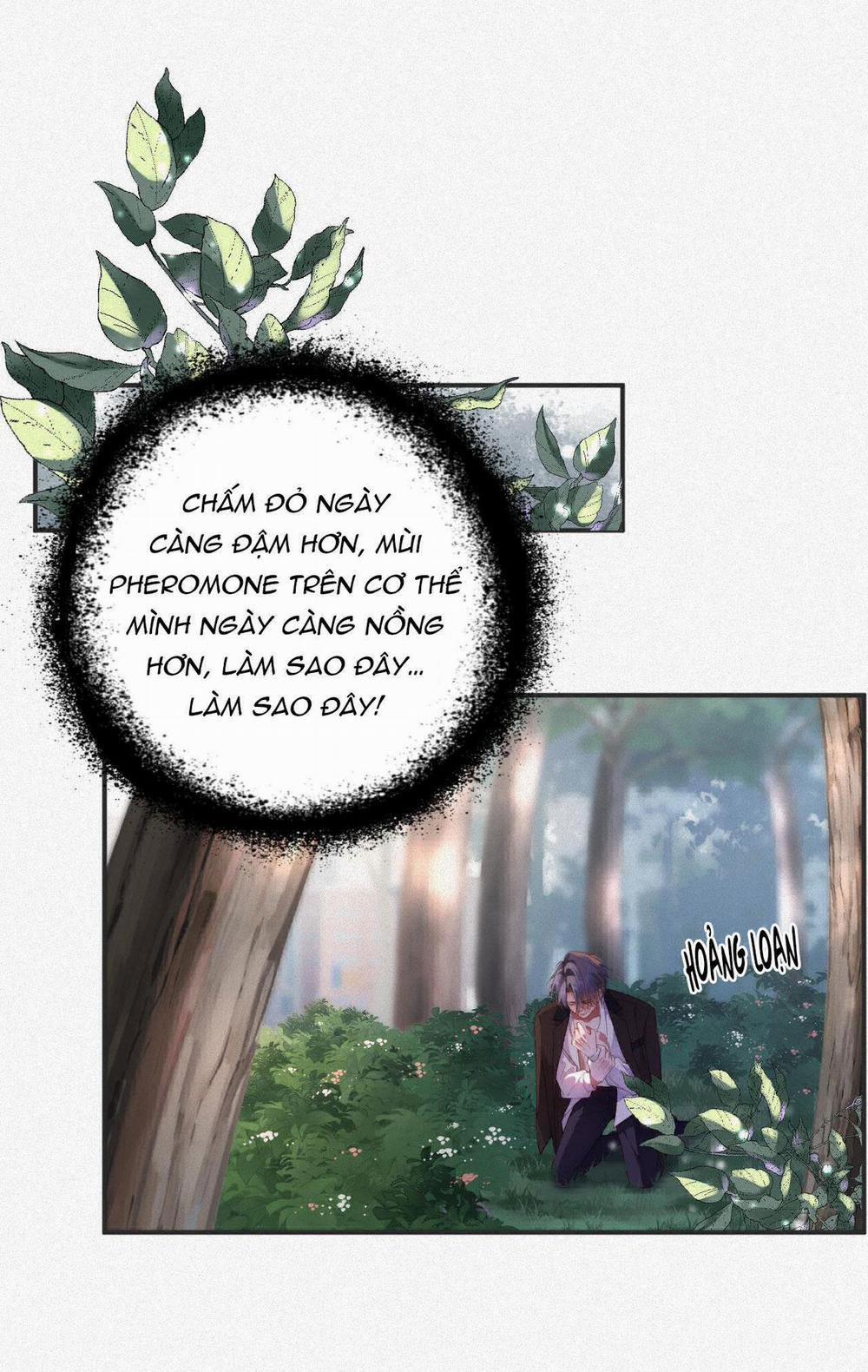 Chồng Cũ Muốn Tái Hôn Lần Nữa 12 trang 5