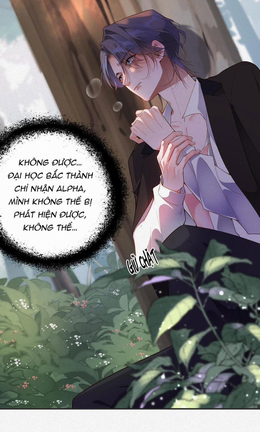 Chồng Cũ Muốn Tái Hôn Lần Nữa 12 trang 7