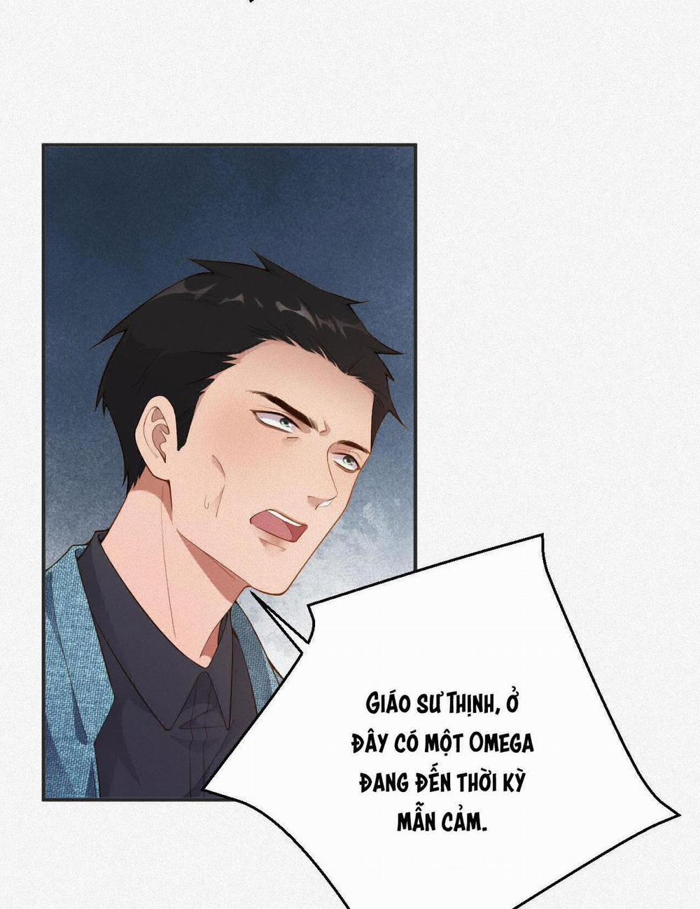 Chồng Cũ Muốn Tái Hôn Lần Nữa 13 trang 33