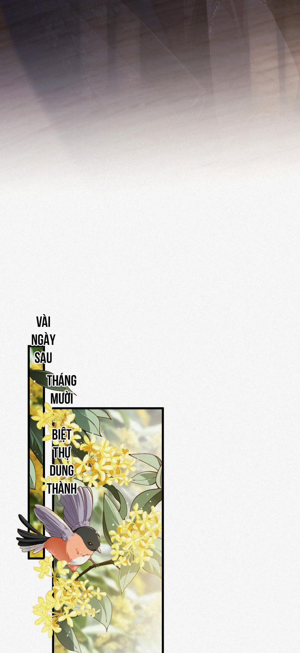 Chồng Cũ Muốn Tái Hôn Lần Nữa 24 trang 34