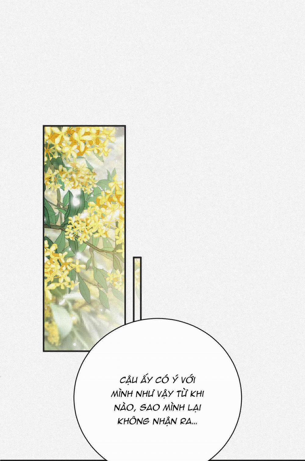 Chồng Cũ Muốn Tái Hôn Lần Nữa 25 trang 2