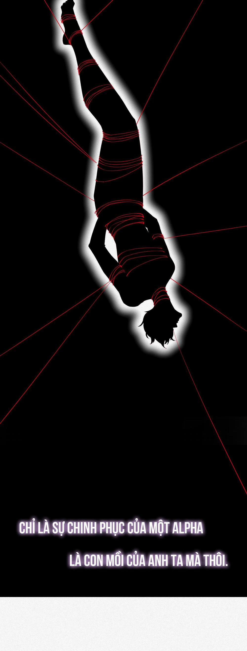 Chồng Cũ Muốn Tái Hôn Lần Nữa 28 trang 9