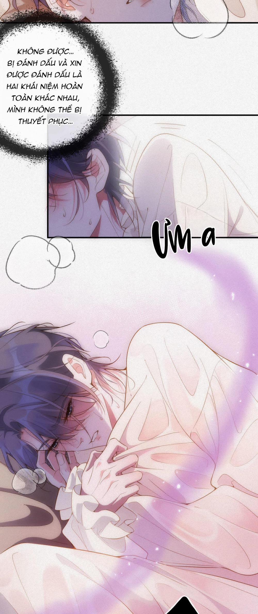 Chồng Cũ Muốn Tái Hôn Lần Nữa 34 trang 16