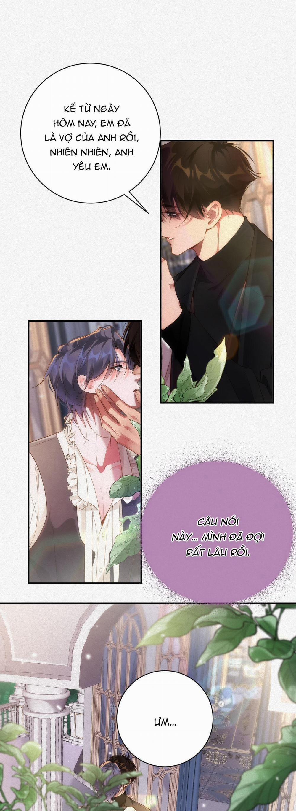 Chồng Cũ Muốn Tái Hôn Lần Nữa 36 trang 12