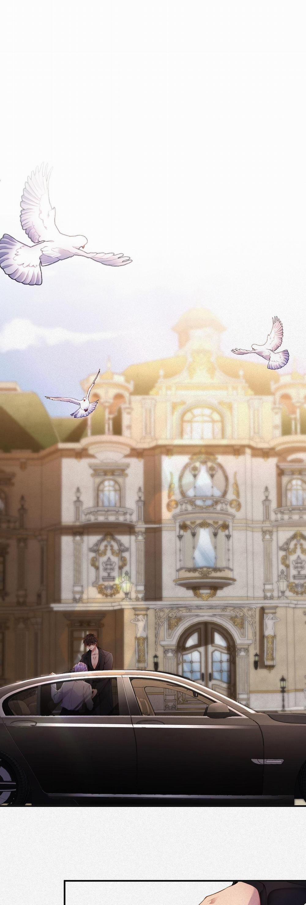 Chồng Cũ Muốn Tái Hôn Lần Nữa 40 trang 10