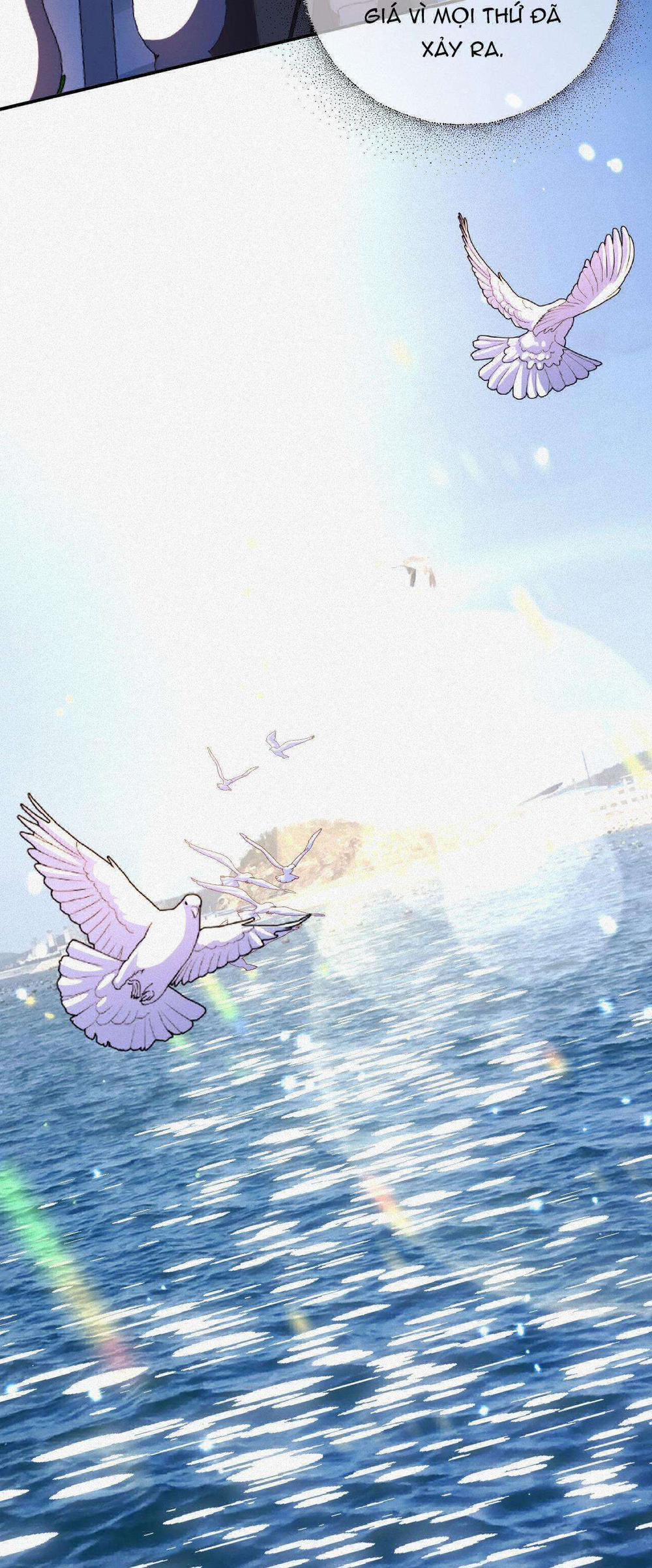 Chồng Cũ Muốn Tái Hôn Lần Nữa 54 trang 19