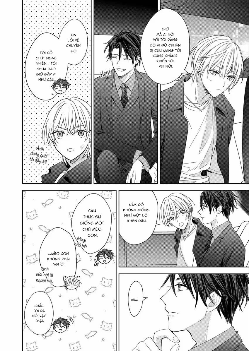 Chồng Nhặt Là Một CEO Hoàn Hảo 2 trang 2