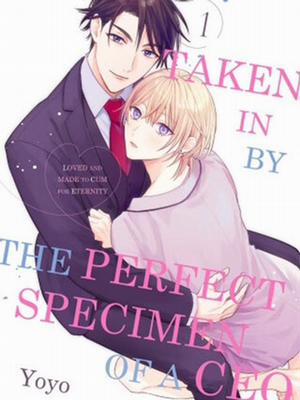 Đọc truyện tranh Chồng Nhặt Là Một CEO Hoàn Hảo