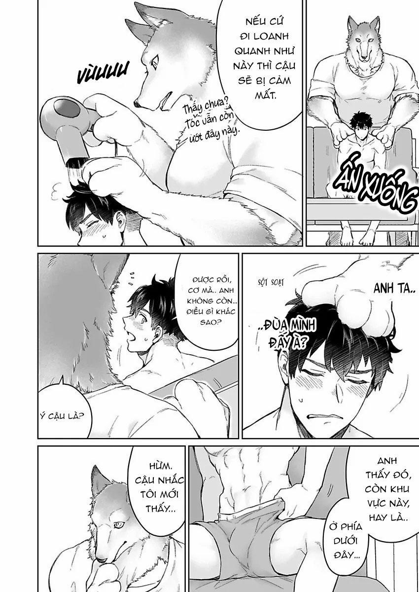 Chồng sói chẳng chịu ngủ cùng tôi 1 trang 19