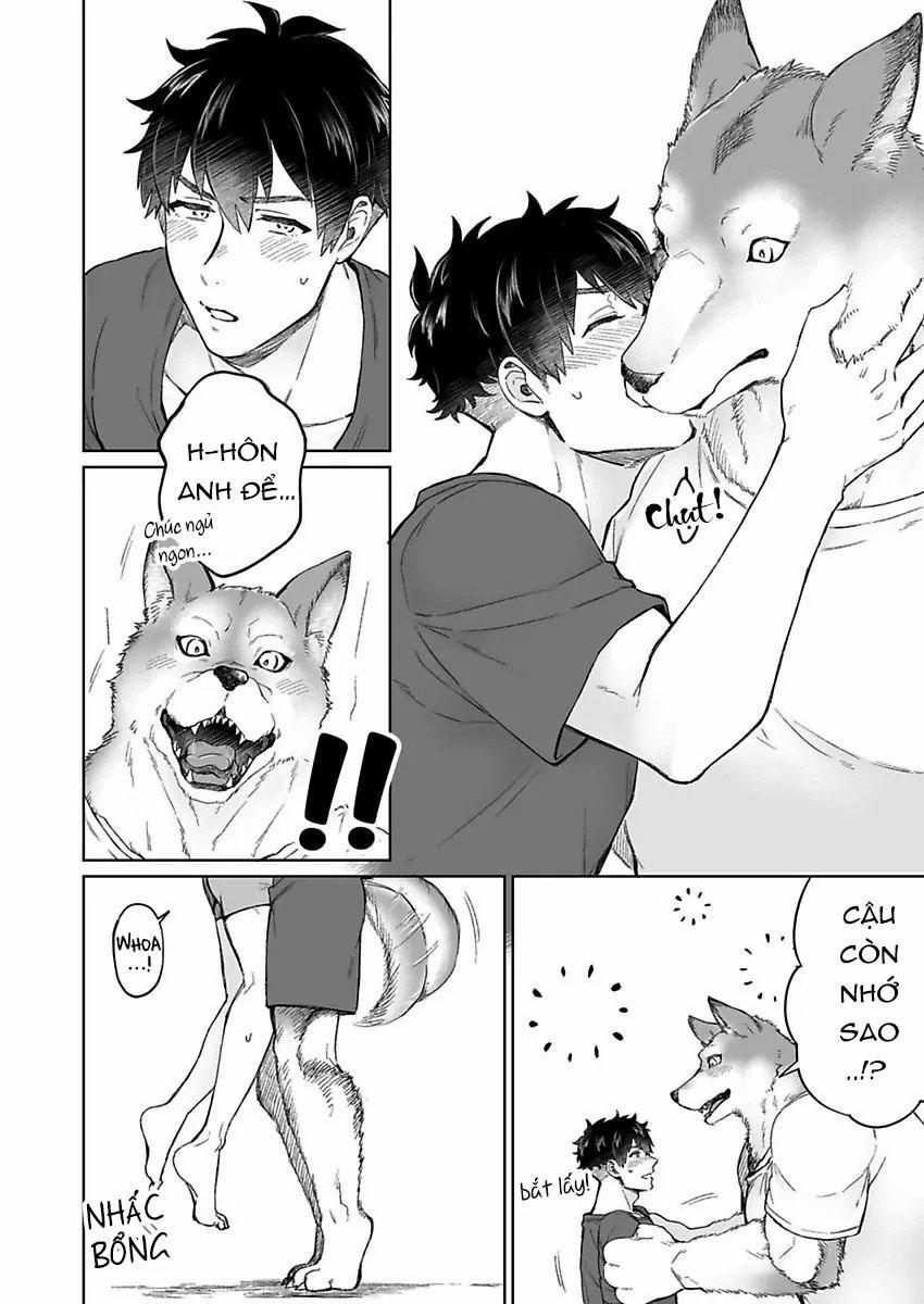 Chồng sói cứ dính lấy tôi trên giường 1 trang 21