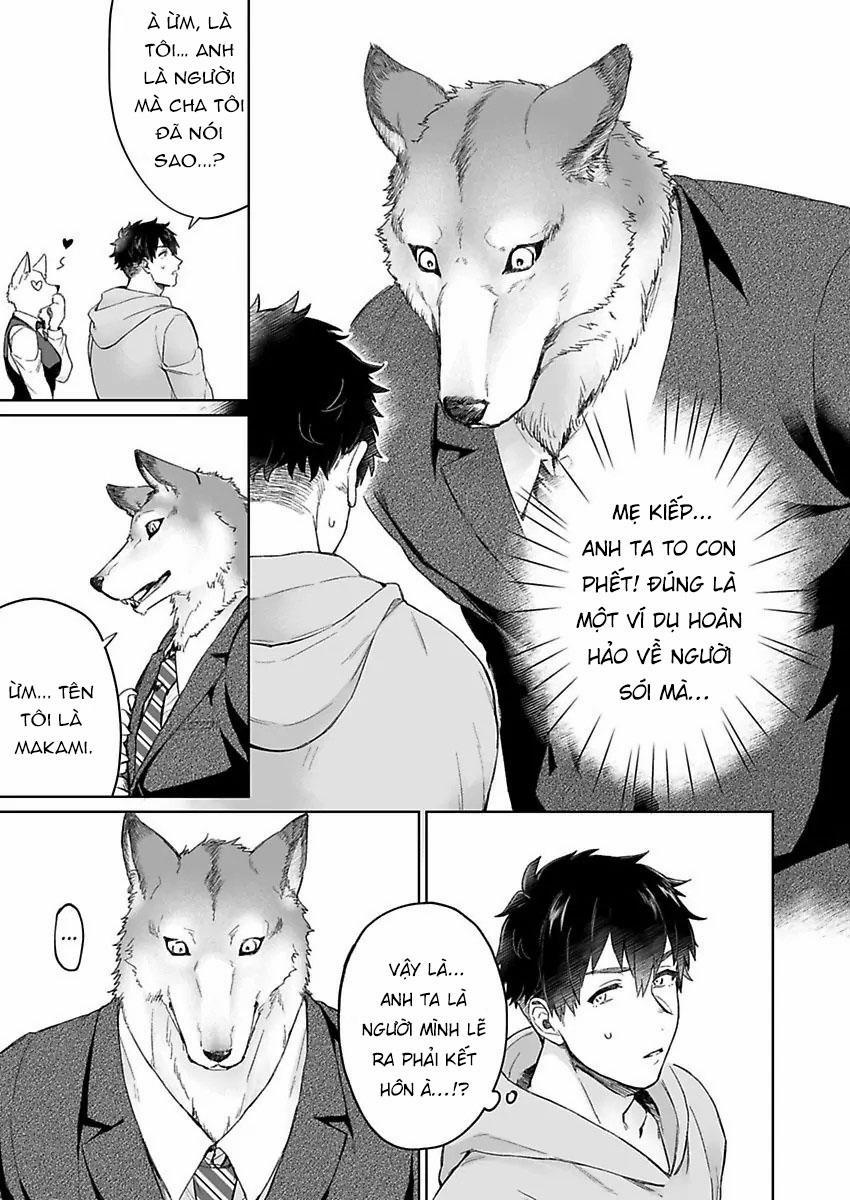 Chồng sói cứ dính lấy tôi trên giường 1 trang 8