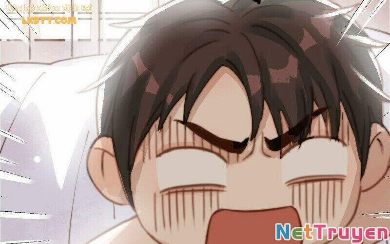 Chồng Trước 18 Tuổi 55 trang 12