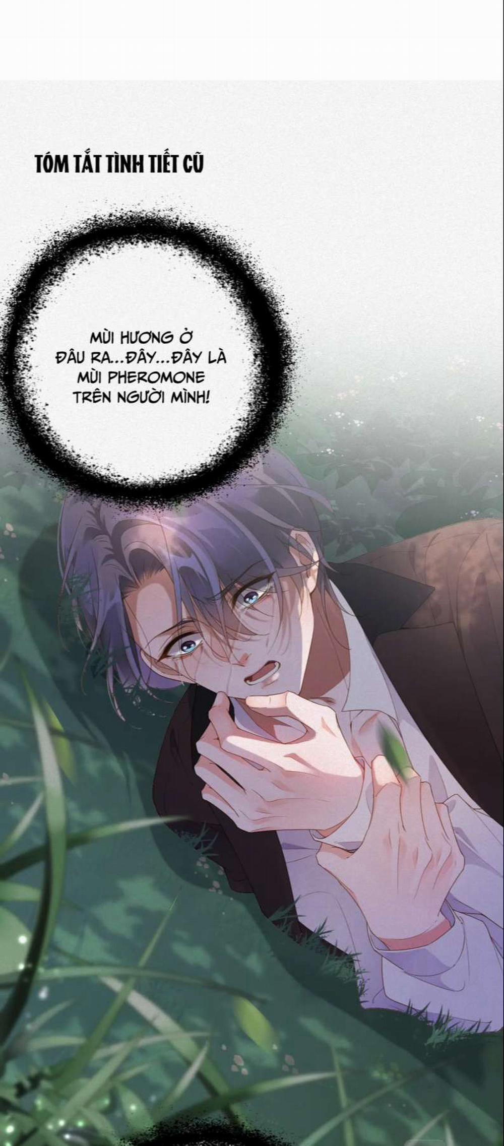 Chồng Trước Lại Muốn Phục Hôn Rồi 12 trang 1