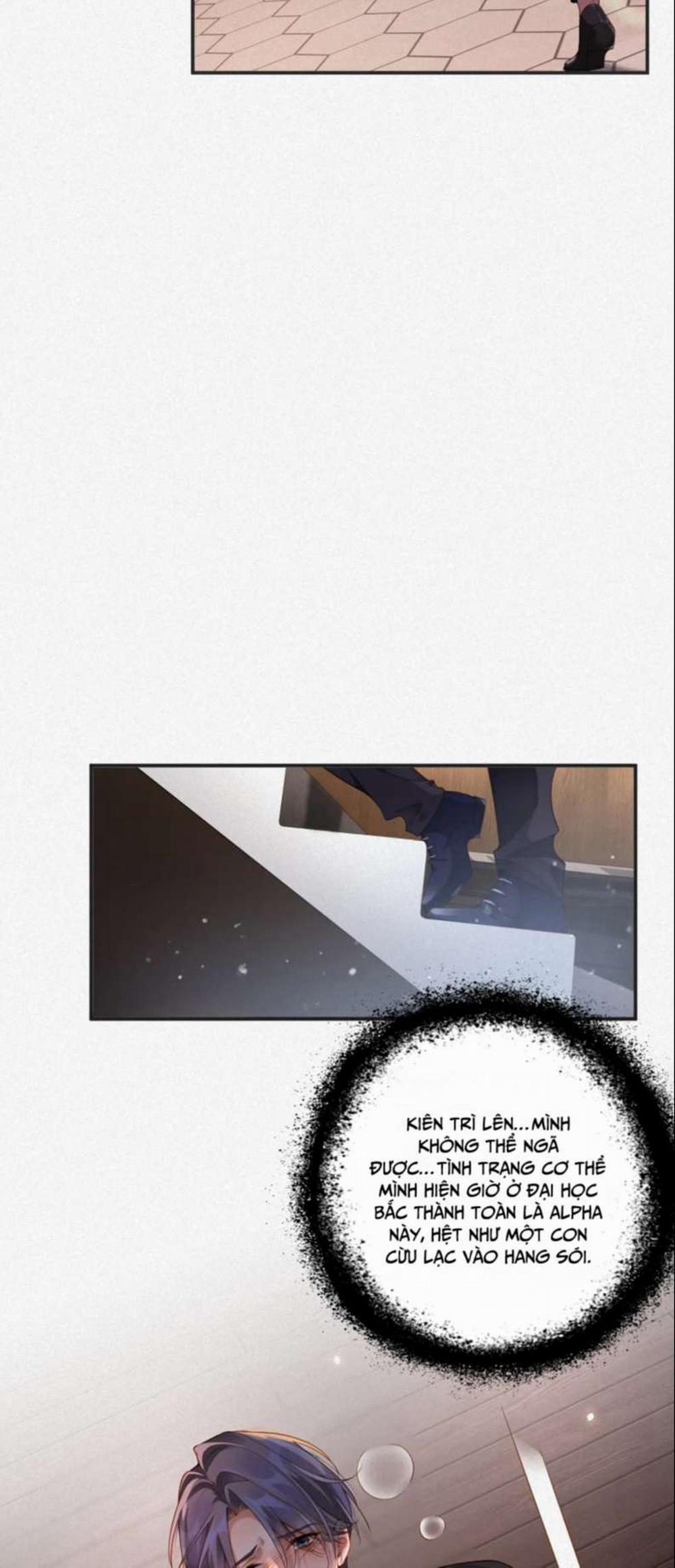 Chồng Trước Lại Muốn Phục Hôn Rồi 12 trang 10