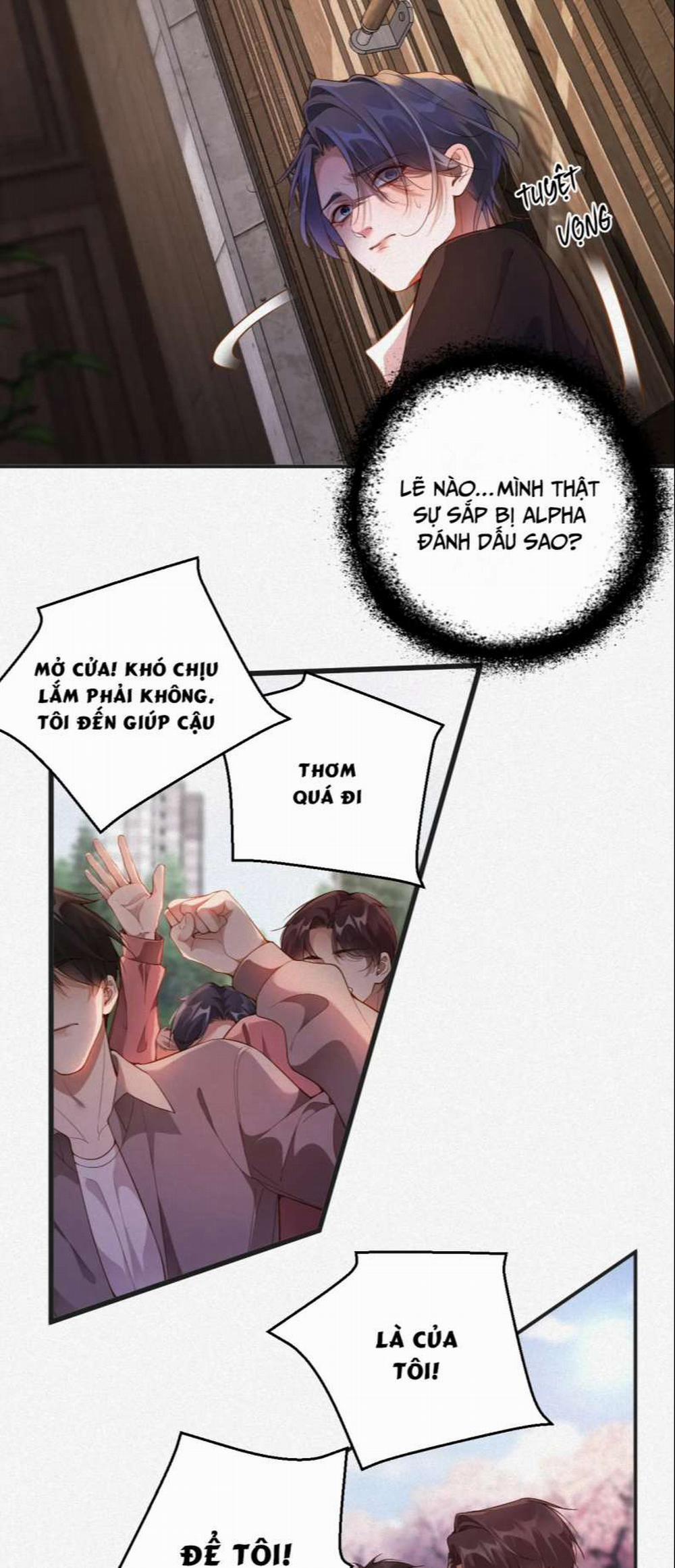 Chồng Trước Lại Muốn Phục Hôn Rồi 12 trang 14