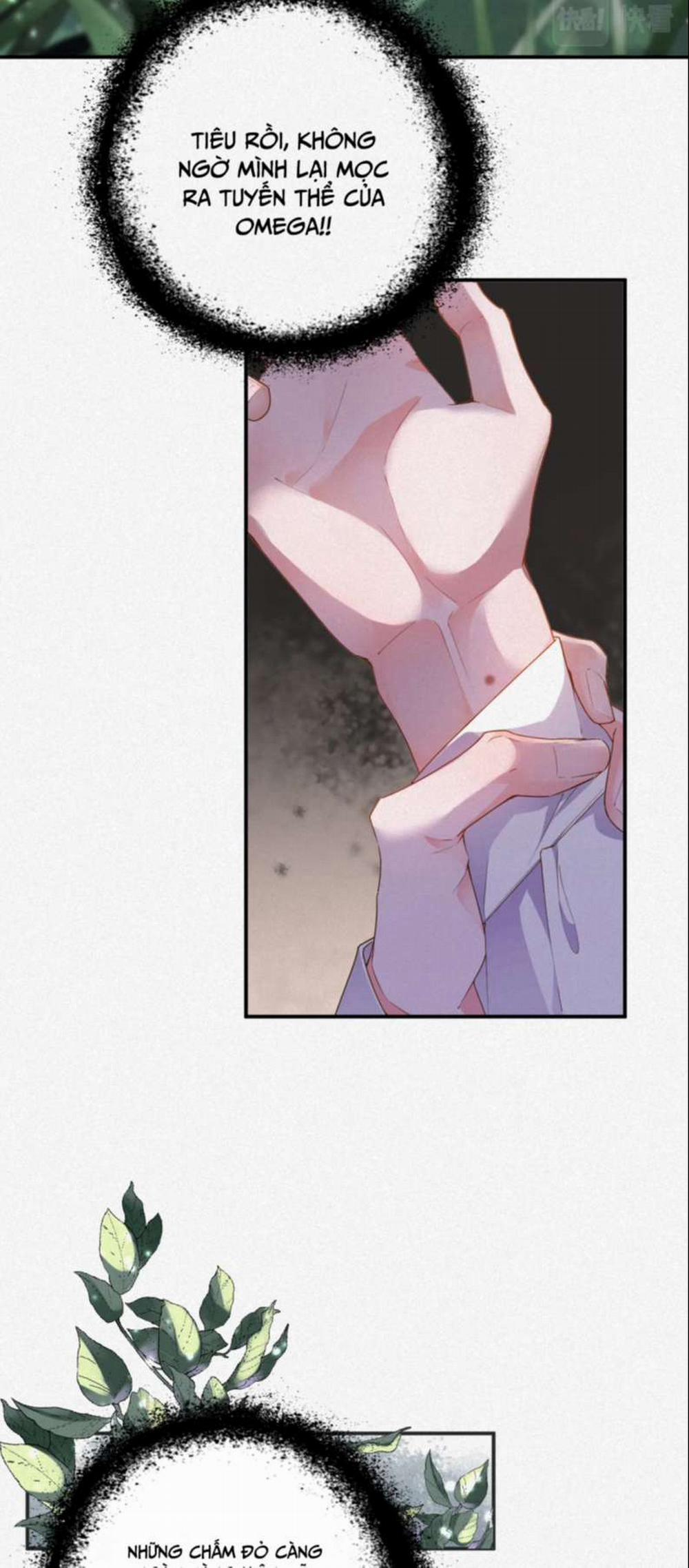 Chồng Trước Lại Muốn Phục Hôn Rồi 12 trang 2