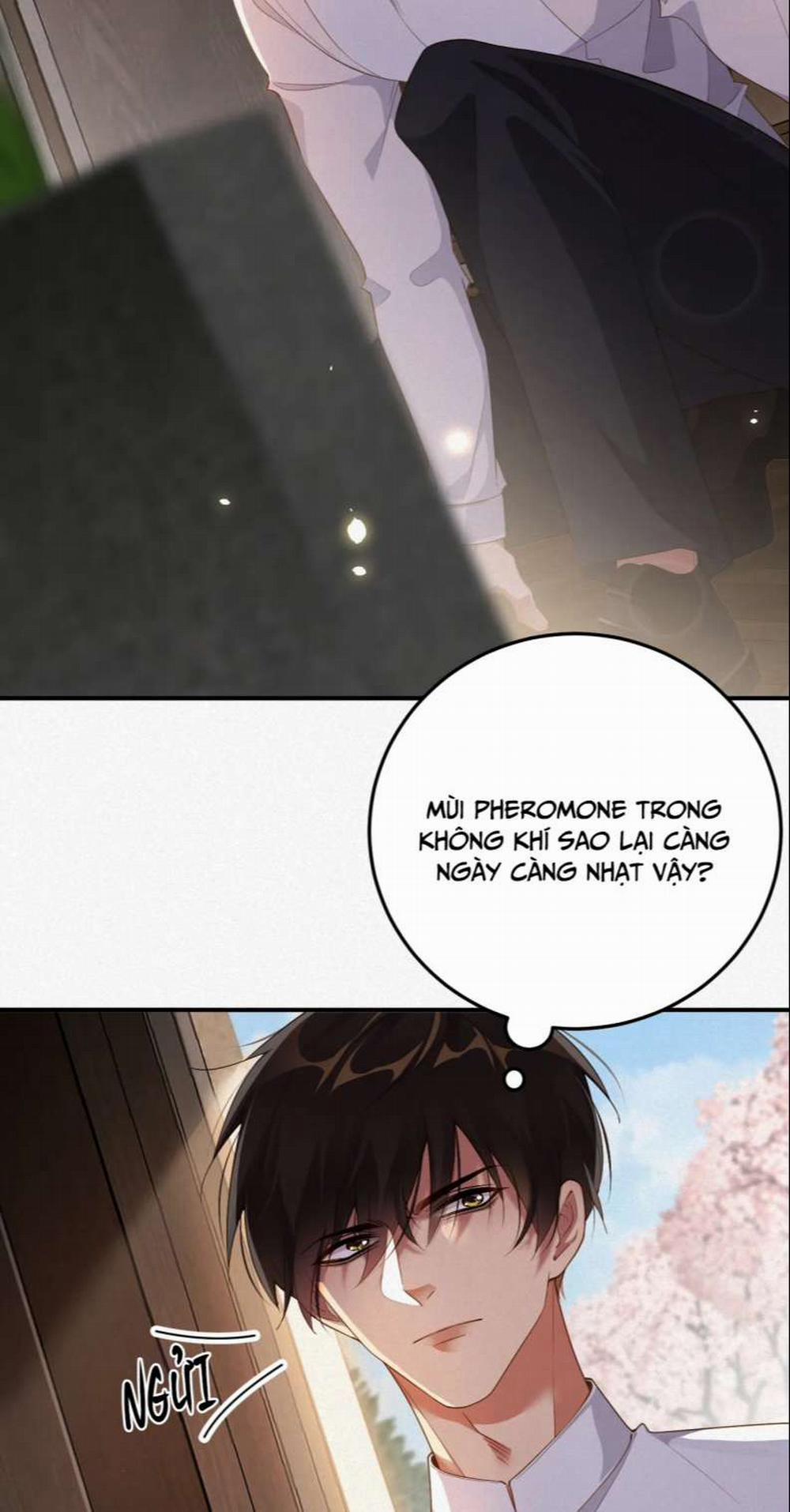 Chồng Trước Lại Muốn Phục Hôn Rồi 12 trang 21