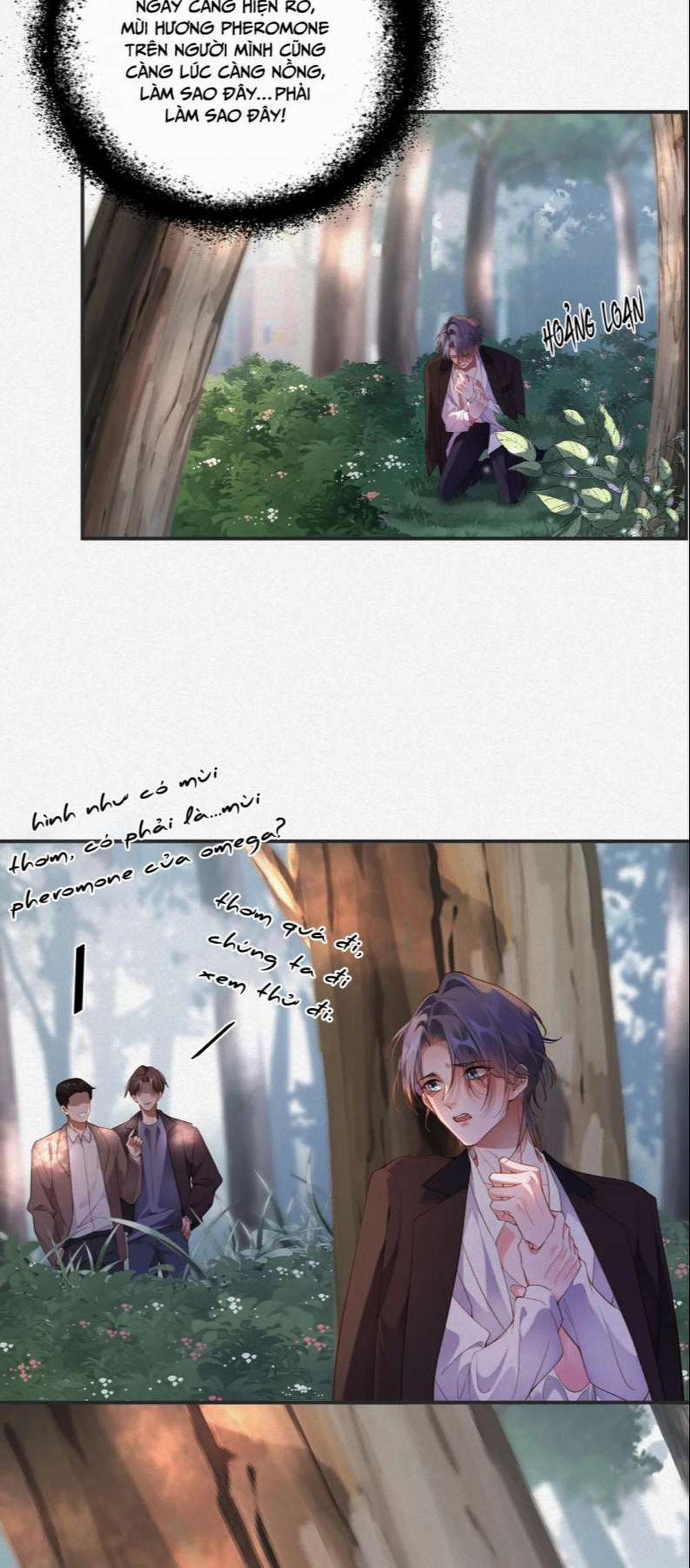 Chồng Trước Lại Muốn Phục Hôn Rồi 12 trang 3