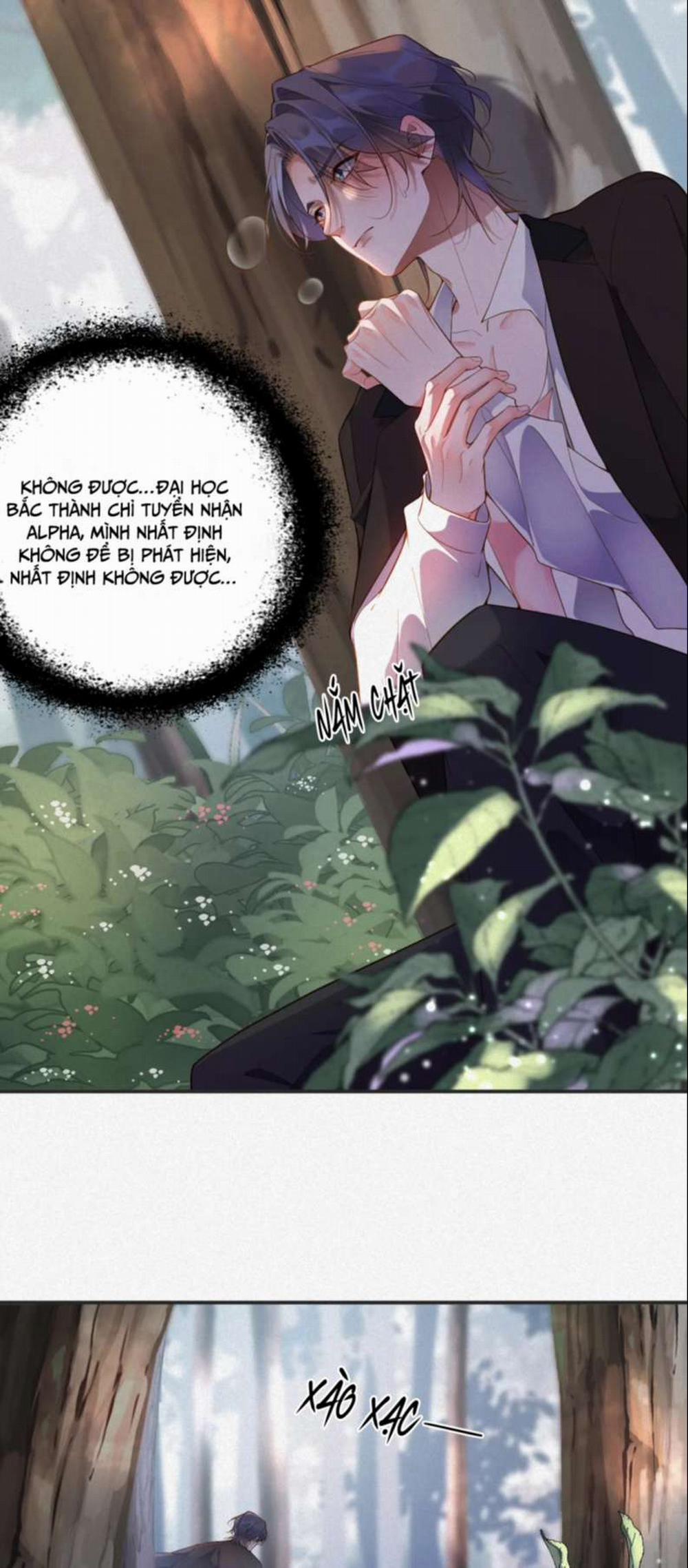 Chồng Trước Lại Muốn Phục Hôn Rồi 12 trang 4